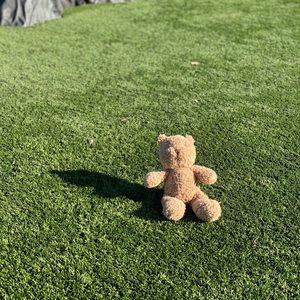 Meet your Posher, Mayra